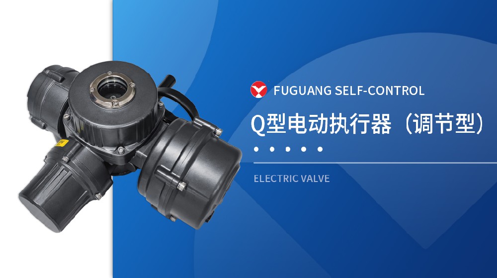 Q型電動(dòng)執(zhí)行器(調(diào)節(jié)型) Q型電動(dòng)執(zhí)行器(調(diào)節(jié)型)